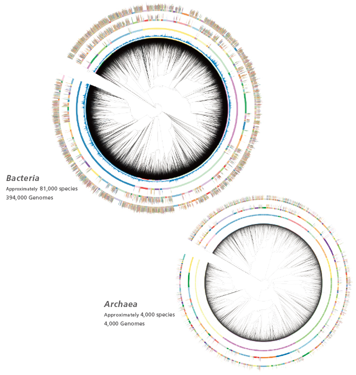 MicrobialTrack Shimadzu