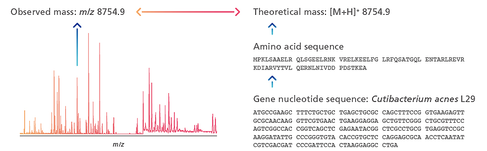 MicrobialTrack Shimadzu