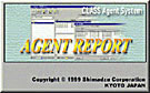 CLASS-Agent report-generation tool