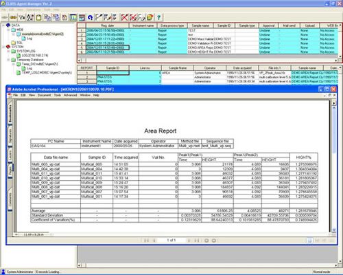 Example of a Created Report